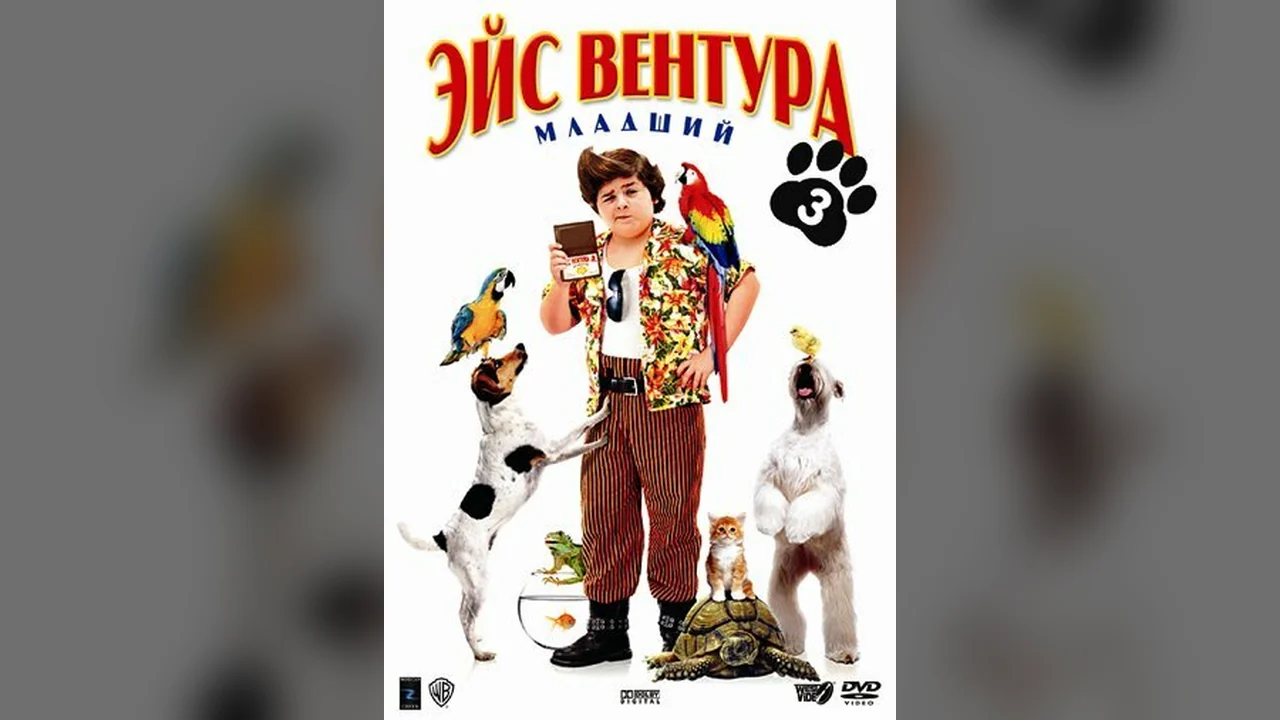 Фильм Эйс Вентура младший (2009)