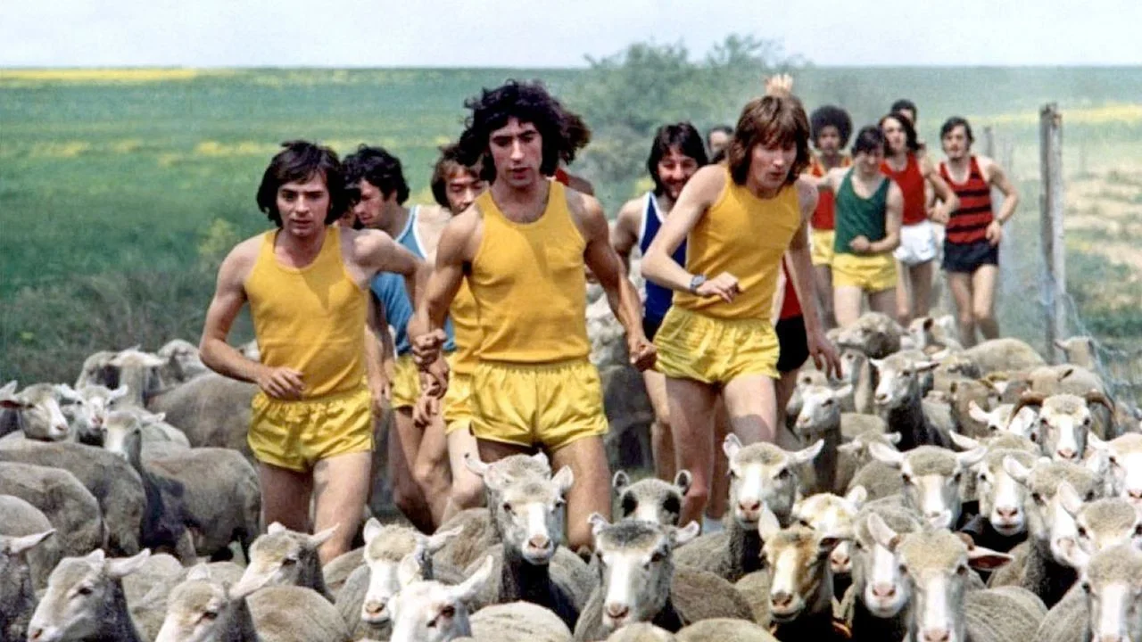 Фильм Сумасшедшие на стадионе (1972)